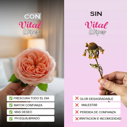 TOALLITAS INTIMAS Vital Wipes